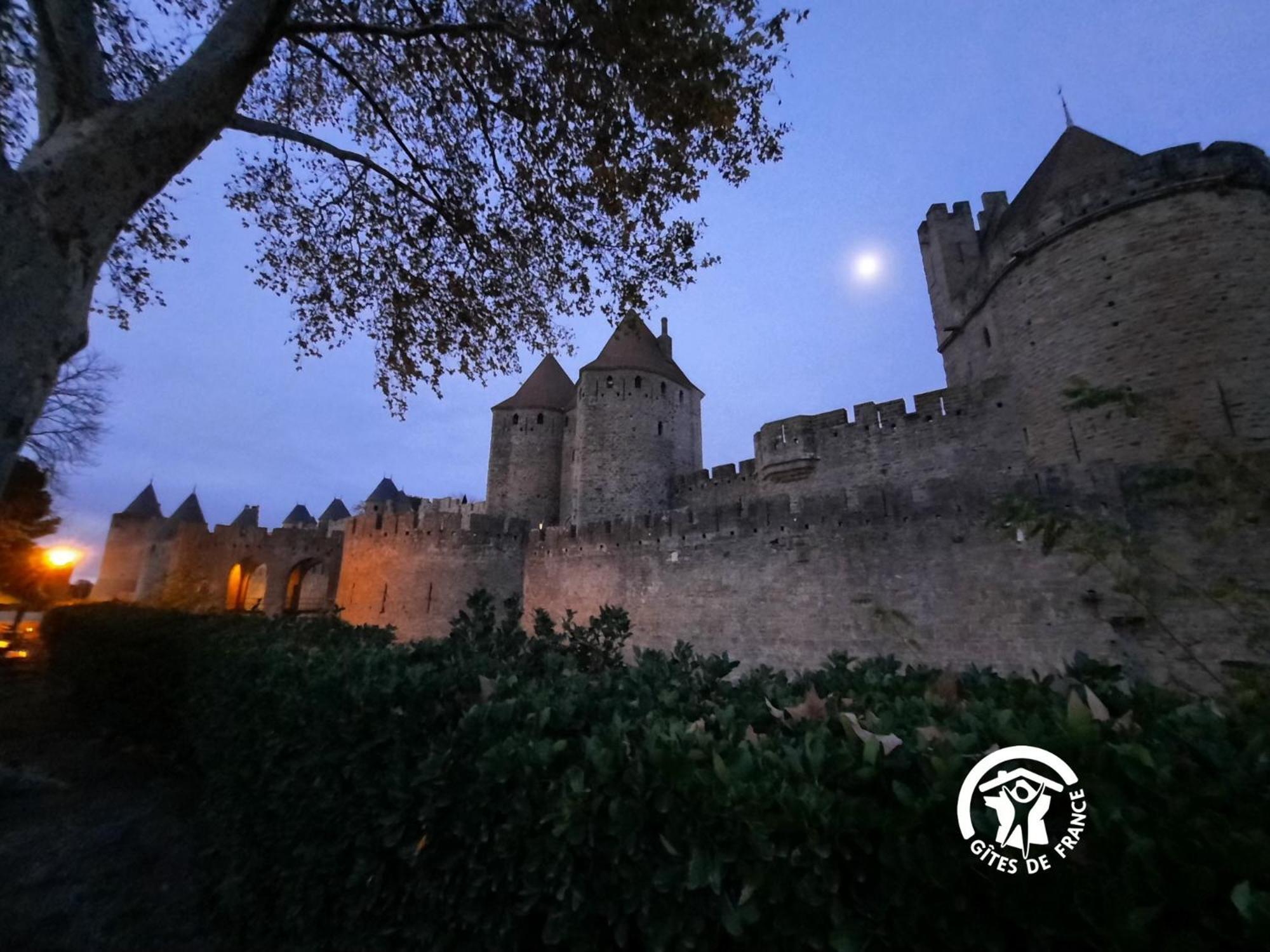 Loft Cocon Climatise - Imprenable Vue Sur Le Chateau Comtal Carcasona Exterior foto
